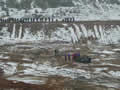  DSCN1577.jpg