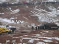  DSCN1580.jpg